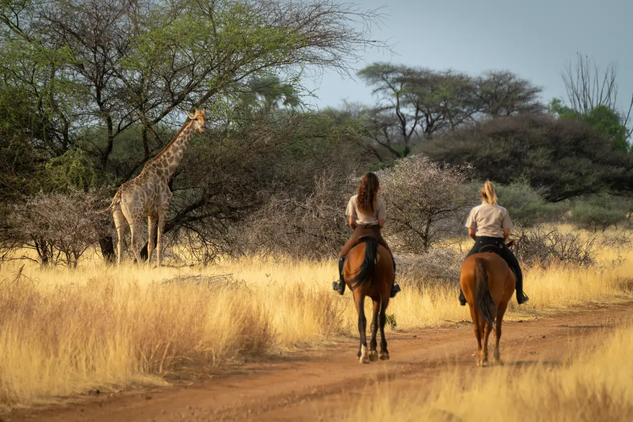 Two riders on horseback crossing open grassland
